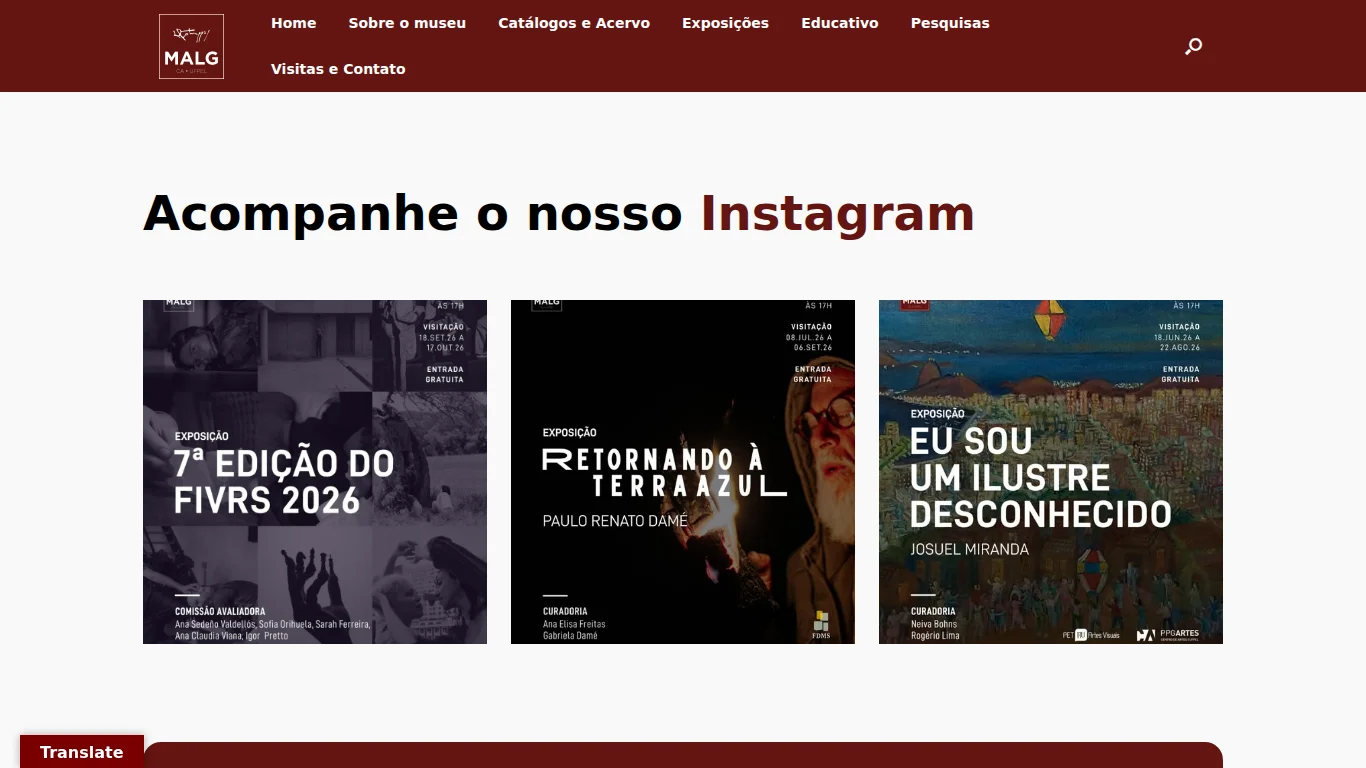 Topo da página inicial do site do Museu de Arte Leopoldo Gotuzzo