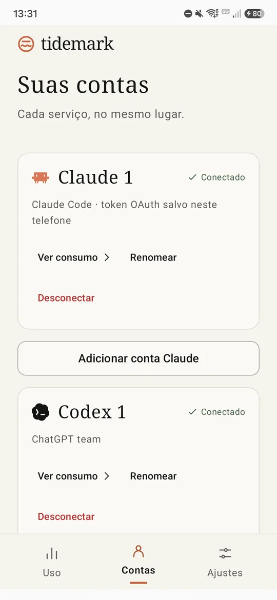 Aba de contas com Claude e Codex conectados